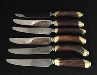Cased Set of 6 Stag Horn Handle Steak Knives (3 of 6) Cased Set of 6 Stag Horn Handle Steak Knives (3 of 6)