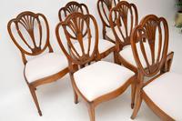 Set of 6 Antique Mahogany Sheraton Style Dining Chairs (9 of 9) Set of 6 Antique Mahogany Sheraton Style Dining Chairs (9 of 9)