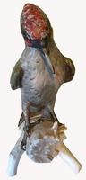 A Porcelain Green Woodpecker by Goebel of Germany (4 of 6) A Porcelain Green Woodpecker by Goebel of Germany (4 of 6)