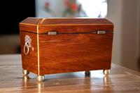 Stunning Partridge Wood Caddy 1820 (7 of 8) Stunning Partridge Wood Caddy 1820 (7 of 8)
