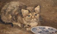 Charming Oil Painting of a Cat (6 of 7) Charming Oil Painting of a Cat (6 of 7)
