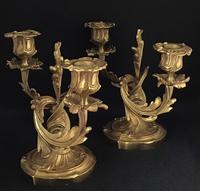 Very Good Pair of Rococo Style Antique Gilt Cast Brass Candelabra (3 of 6) Very Good Pair of Rococo Style Antique Gilt Cast Brass Candelabra (3 of 6)