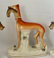 Superb Trio of Staffordshire Whippets c.1850 (8 of 13) Superb Trio of Staffordshire Whippets c.1850 (8 of 13)