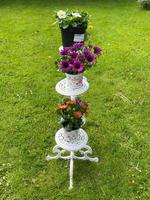 Victorian 19th Century Garden Cast Iron Painted White 6 Branch Plant Stand (5 of 47) Victorian 19th Century Garden Cast Iron Painted White 6 Branch Plant Stand (5 of 47)
