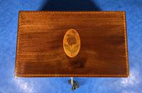 George III Solid Mahogany Box With Wonderful Inlaid Panels (7 of 18) George III Solid Mahogany Box With Wonderful Inlaid Panels (7 of 18)