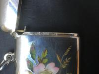 Excellent Silver and Enamel Vesta Case (3 of 7) Excellent Silver and Enamel Vesta Case (3 of 7)