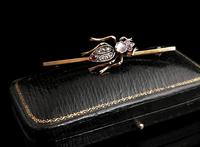 Victorian Beetle Brooch, Moonstone, Diamond, Ruby & Garnet, 15ct Gold, Boxed (4 of 12) Victorian Beetle Brooch, Moonstone, Diamond, Ruby & Garnet, 15ct Gold, Boxed (4 of 12)
