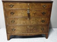 Regency Mahogany Chest of Four Drawers (8 of 8) Regency Mahogany Chest of Four Drawers (8 of 8)