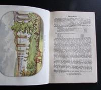 1880 A Week's Holiday in The Forest of Dean. Rare 1st Edition, Coloured Plates & Map (3 of 5) 1880 A Week's Holiday in The Forest of Dean. Rare 1st Edition, Coloured Plates & Map (3 of 5)