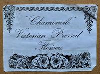 19th Century Victorian Floral Still Life of Pressed Flowers Picture (12 of 12) 19th Century Victorian Floral Still Life of Pressed Flowers Picture (12 of 12)