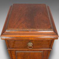 Tall Antique Side Cabinet, English, Mahogany, Bedside, Nightstand, Regency, 1820 (3 of 12) Tall Antique Side Cabinet, English, Mahogany, Bedside, Nightstand, Regency, 1820 (3 of 12)