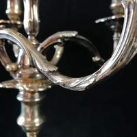 George II Rococo Style White Metal 5 Light Candelabra (3 of 20) George II Rococo Style White Metal 5 Light Candelabra (3 of 20)