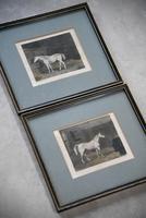 Pair Antique Race Horse Engravings (2 of 11) Pair Antique Race Horse Engravings (2 of 11)