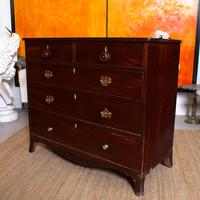 Georgian Chest of Drawers Mahogany 19th Century (2 of 12) Georgian Chest of Drawers Mahogany 19th Century (2 of 12)