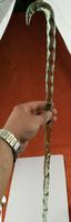 Antique Victorian Transparent Green Barley Twist Glass Cane Walking Stick C1890s (7 of 8) Antique Victorian Transparent Green Barley Twist Glass Cane Walking Stick C1890s (7 of 8)