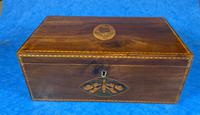 George III Solid Mahogany Box With Wonderful Inlaid Panels (2 of 18) George III Solid Mahogany Box With Wonderful Inlaid Panels (2 of 18)