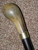 Antique Bovine Horn Handled Ebony Walking Stick With Gold Plate Collar (8 of 11) Antique Bovine Horn Handled Ebony Walking Stick With Gold Plate Collar (8 of 11)