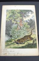 6 Framed Animal Coloured Pictures Plates C1877 Sketches from Nature - N America & Canada (3 of 12) 6 Framed Animal Coloured Pictures Plates C1877 Sketches from Nature - N America & Canada (3 of 12)