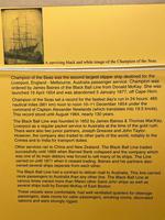 Edwardian Watercolour "Champion Of The Seas" Ship Black Ball Line Off Cape of Good Hope Signed Pierhead Artist Williams (39 of 39) Edwardian Watercolour "Champion Of The Seas" Ship Black Ball Line Off Cape of Good Hope Signed Pierhead Artist Williams (39 of 39)