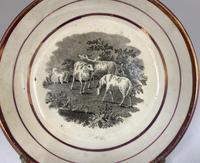 Antique Regency Period Porcelain Saucer c.1815 (3 of 3) Antique Regency Period Porcelain Saucer c.1815 (3 of 3)