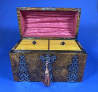 Victorian Brassbound Burr Walnut Tea Caddy. (14 of 14) Victorian Brassbound Burr Walnut Tea Caddy. (14 of 14)