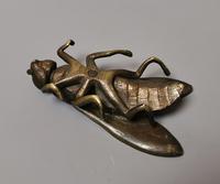 Antique Victorian Bronze Fly Sculpture (7 of 10) Antique Victorian Bronze Fly Sculpture (7 of 10)