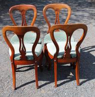 1900's Set of 4 Mahogany Hoop Back Chairs with Pop-out Seats (3 of 3) 1900's Set of 4 Mahogany Hoop Back Chairs with Pop-out Seats (3 of 3)