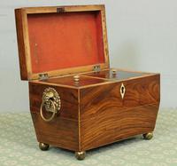 Antique Rosewood Tea Caddy (3 of 15) Antique Rosewood Tea Caddy (3 of 15)