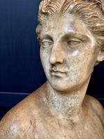 Item Additional Image