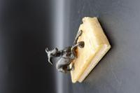 Early 20th Century Paperweight with a Well Modelled Figure of a Greyhound (5 of 6) Early 20th Century Paperweight with a Well Modelled Figure of a Greyhound (5 of 6)