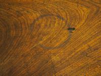 Irish Regency Mahogany Foldover Tea Table (9 of 12) Irish Regency Mahogany Foldover Tea Table (9 of 12)
