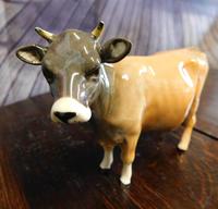 Item Additional Image