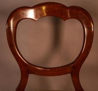 Good Set of 12 Victorian Balloon Back Dining Chairs (10 of 11) Good Set of 12 Victorian Balloon Back Dining Chairs (10 of 11)