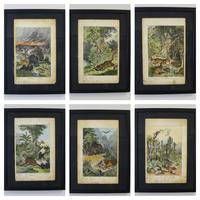 6 Framed Animal Coloured Pictures Plates C1877 Sketches from Nature - N America & Canada (2 of 12) 6 Framed Animal Coloured Pictures Plates C1877 Sketches from Nature - N America & Canada (2 of 12)