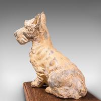 Antique Decorative Scottish Terrier, British, Ornamental Scottie Dog, Edwardian (12 of 12) Antique Decorative Scottish Terrier, British, Ornamental Scottie Dog, Edwardian (12 of 12)