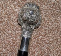Vintage 925 Silver Detailed Deer Hound Dog's Head Walking Stick / Cane (2 of 20) Vintage 925 Silver Detailed Deer Hound Dog's Head Walking Stick / Cane (2 of 20)