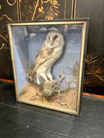 Item Additional Image