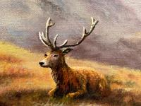 Oil Painting Scottish Stags "Denizens of the Highlands" Signed Wendy Reeves (7 of 45) Oil Painting Scottish Stags "Denizens of the Highlands" Signed Wendy Reeves (7 of 45)