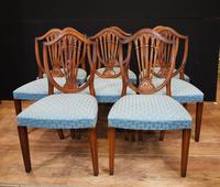 Set 8 Hepplewhite Dining Chairs Mahogany (3 of 7) Set 8 Hepplewhite Dining Chairs Mahogany (3 of 7)