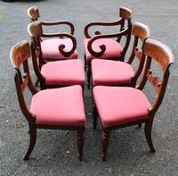 Set of 6 Mahogany Regency Barback Pink Dining Chairs (4 of 4) Set of 6 Mahogany Regency Barback Pink Dining Chairs (4 of 4)