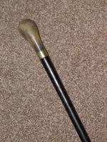 Antique Bovine Horn Handled Ebony Walking Stick With Gold Plate Collar (3 of 11) Antique Bovine Horn Handled Ebony Walking Stick With Gold Plate Collar (3 of 11)