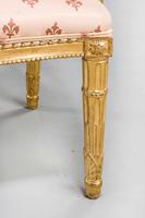 Pair of Italian 19th Century Elbow Chairs (9 of 10) Pair of Italian 19th Century Elbow Chairs (9 of 10)