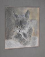 Characterful pastel drawing of a cat (2 of 4) Characterful pastel drawing of a cat (2 of 4)