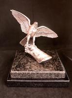 Silver Falcon on Glove by Alberty Joyeros (3 of 6) Silver Falcon on Glove by Alberty Joyeros (3 of 6)