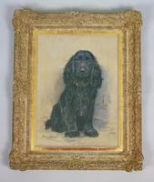 Marion Harvey 1886-1971 Portrait of a Black Spaniel (6 of 9) Marion Harvey 1886-1971 Portrait of a Black Spaniel (6 of 9)