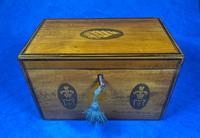 George III Satinwood Twin Tea Caddy with Prince of Wales Inlay (12 of 15) George III Satinwood Twin Tea Caddy with Prince of Wales Inlay (12 of 15)