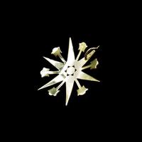 Antique Victorian Pearl 12 Point Star 15ct 15K Yellow Gold Pendant (4 of 6) Antique Victorian Pearl 12 Point Star 15ct 15K Yellow Gold Pendant (4 of 6)