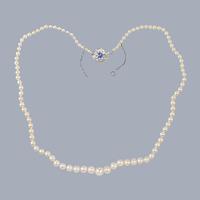 Antique Pearl Necklace with Sapphire & Diamond Floral Clasp – Anchorcert Certified, Cultured Pearls c.1920