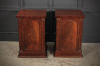Pair of William IV Flame Mahogany Pedestal Cabinets (7 of 15) Pair of William IV Flame Mahogany Pedestal Cabinets (7 of 15)