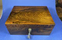 Georgian Brazilian Rosewood Box (10 of 17) Georgian Brazilian Rosewood Box (10 of 17)